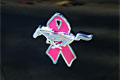 Galpinized Warriors in Pink Mustang