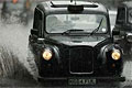   (LTI FX4 Fairway)
