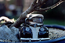 CrashBonsai