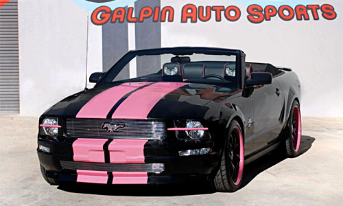 Galpinized Warriors in Pink Mustang