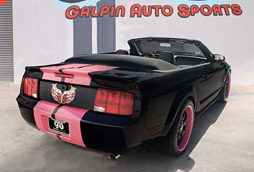 Galpinized Warriors in Pink Mustang