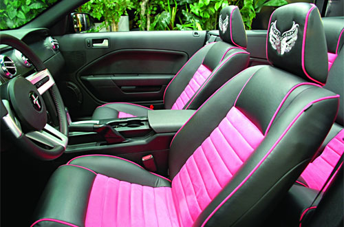 Galpinized Warriors in Pink Mustang